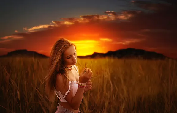 Picture field, girl, the sun, sunset