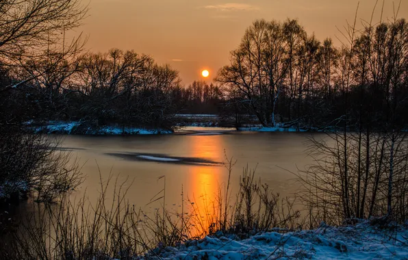 Picture ice, forest, snow, sunset, lake