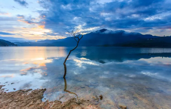 Trees, landscape, lake