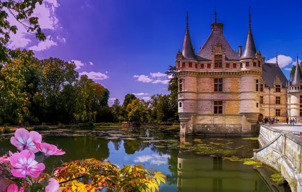 Picture pond, reflection, castle, France, Castle of Azay-le-Rideau