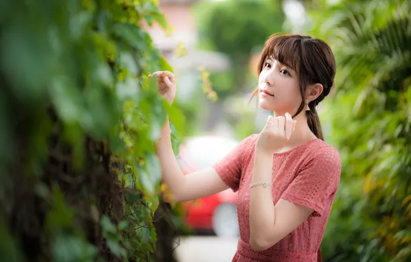 Girl, Park, Asian, cutie, shrub, bokeh