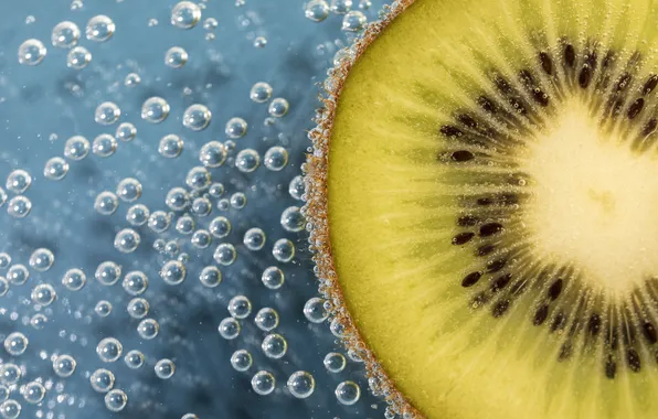 Water, macro, bubbles, seeds, kiwi, slice, fruit, blue background