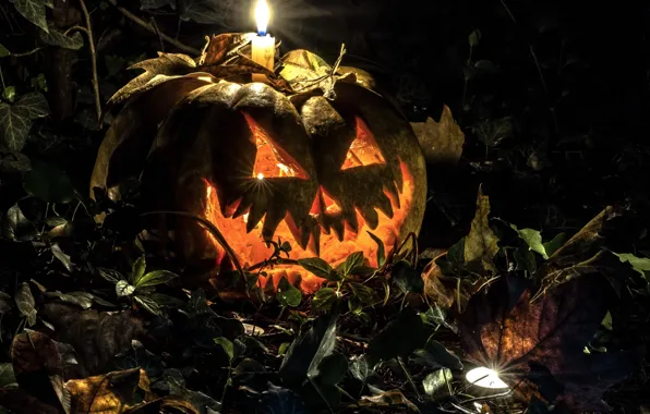 Picture autumn, leaves, night, candle, Halloween, pumpkin.