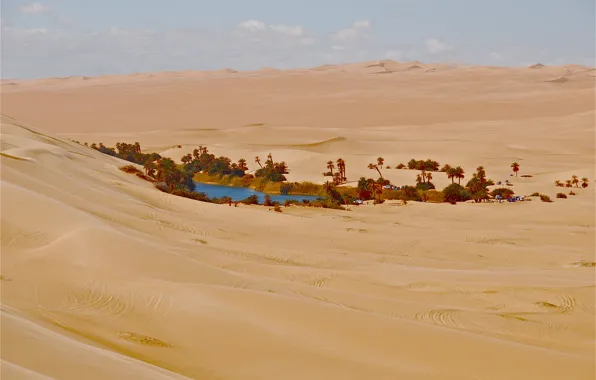 Sand, house, Palma, desert, oasis