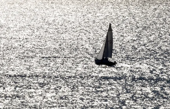 Sea, reflection, movement, sport, silhouette, sails, black and white, sports boat
