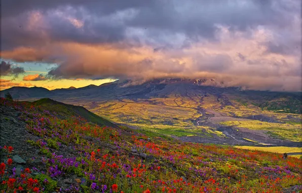 Clouds, flowers, mountains, field, space, meadows