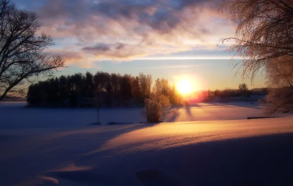 Winter, the sun, Dark Winter