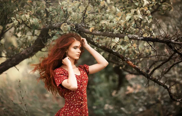 Picture girl, branches, pose, tree, hair, hands, red, Apple