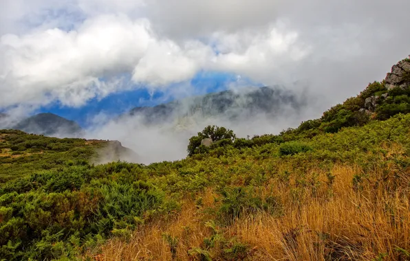 Sea, grass, clouds, mountains, stones, rocks, coast, height