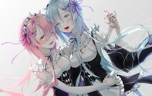 Girls, long hair, sisters, From scratch, REM, RAM, Re Zero Kara Hajime Chip Isek Or …