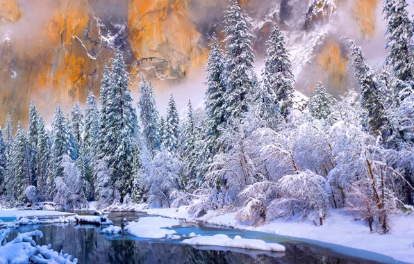 Picture winter, forest, snow, mountains, river, rocks, USA, California
