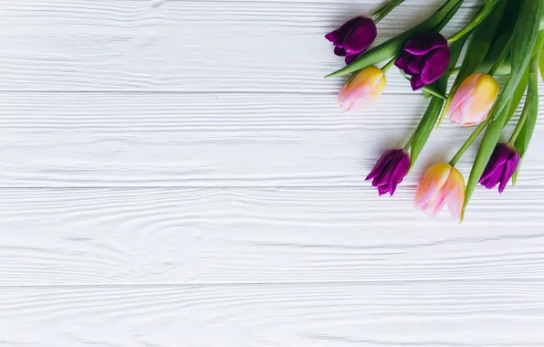 Flowers, tulips, pink, fresh, wood, pink, flowers, beautiful
