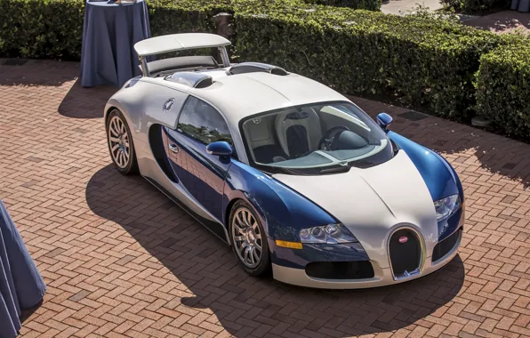 Picture veyron, bugatti, white, blue, chrome