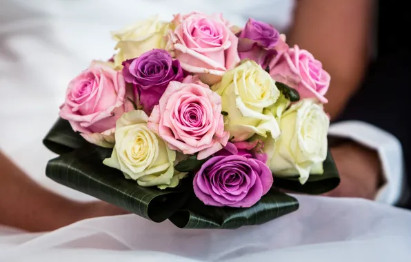 Picture roses, bouquet, petals, wedding