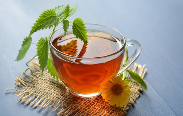 Flower, glass, table, tea, Cup, drink, napkin, nettle