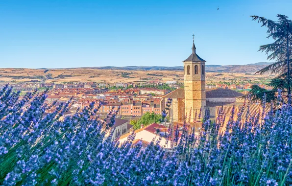Flowers, tree, building, tower, home, Church, panorama, Spain