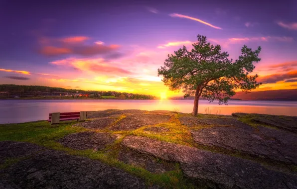 Sunset, lake, tree