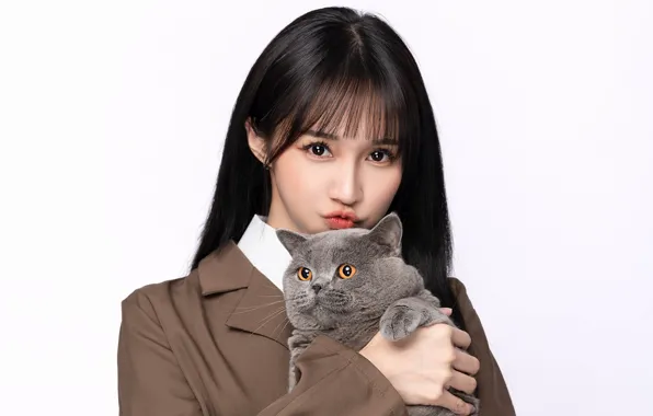 Cat, look, girl, brunette, Asian