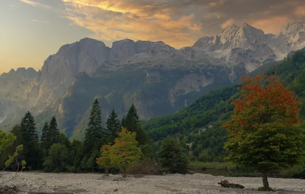Autumn, forest, clouds, trees, mountains, fog, tree, rocks