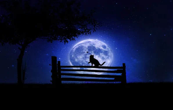 Picture cat, bench, night, tree, the moon