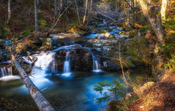 Waterfall, Lake, Stream