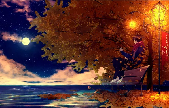 Water, bench, night, tree, the moon, art, shop, lantern