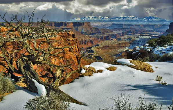 Snow, trees, mountains, rocks, canyon, Utah, USA, Canyonlands National Park