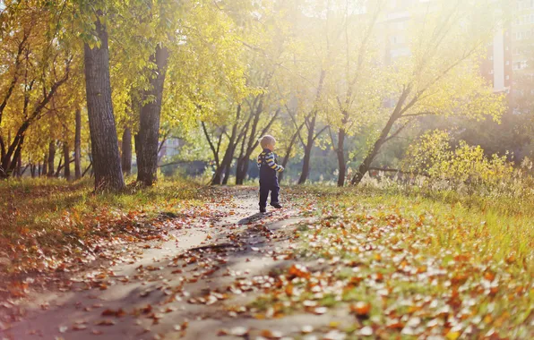 Leaves, Park, jump, child