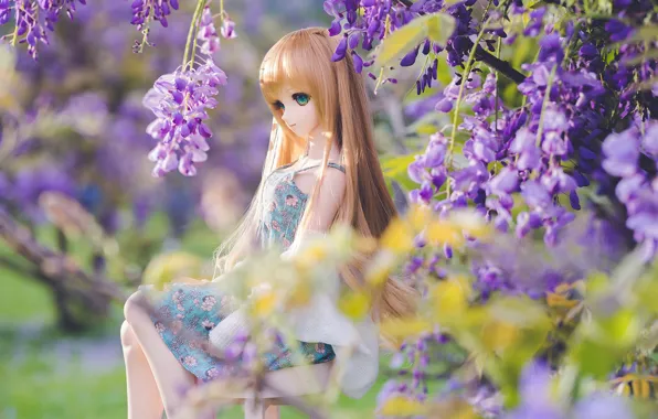 Hair, doll, Wisteria