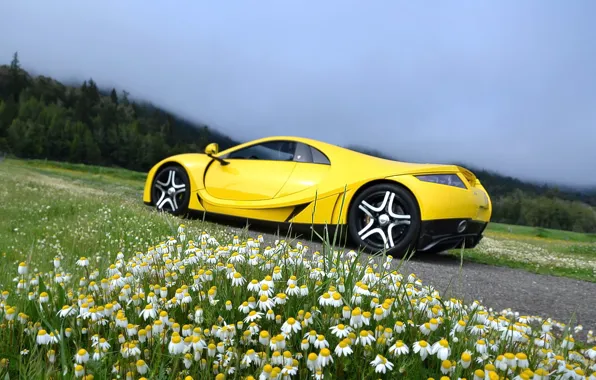 Picture chamomile, supercar, Spania, GTA Spano