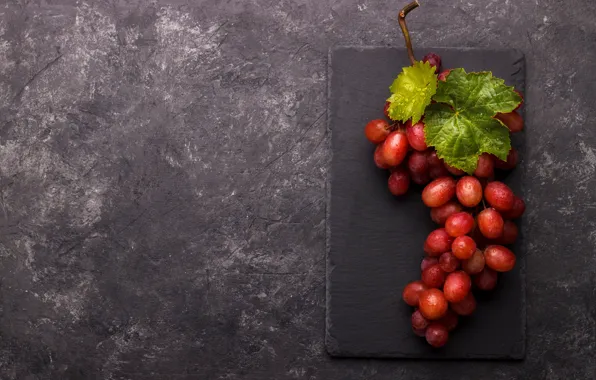 Leaves, drops, red, background, minimalism, grapes, bunch, stand