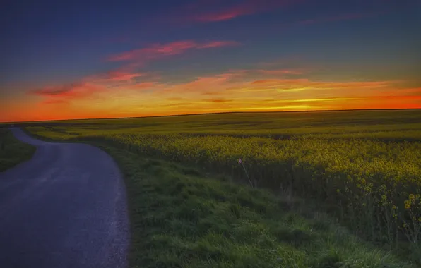Road, field, twilight, the countryside, farm, orange sky, fields of flowers