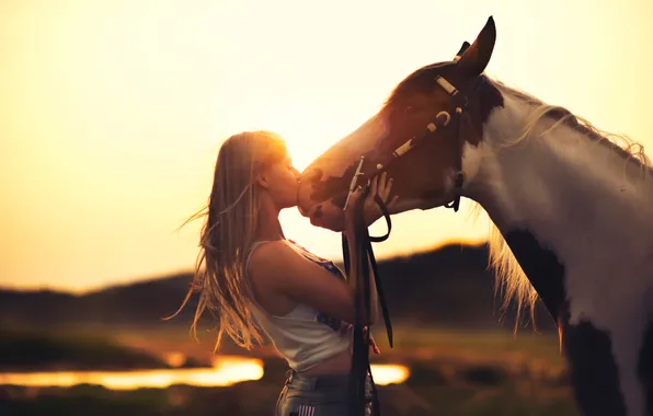 Picture girl, sunset, horse, friendship, Horse
