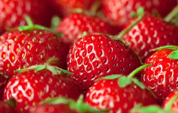 Summer, macro, red, berries, strawberry