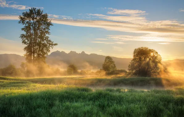 The sky, nature, fog, river, dawn, morning, James Wheeler