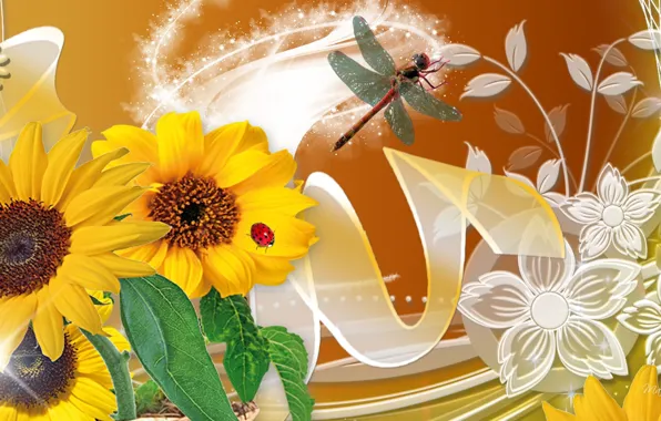 Flowers, nature, collage, ladybug, dragonfly, petals, insect