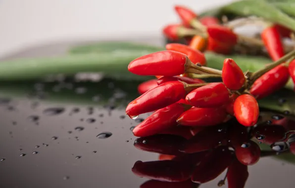 Drops, surface, pepper, vegetables, Chile