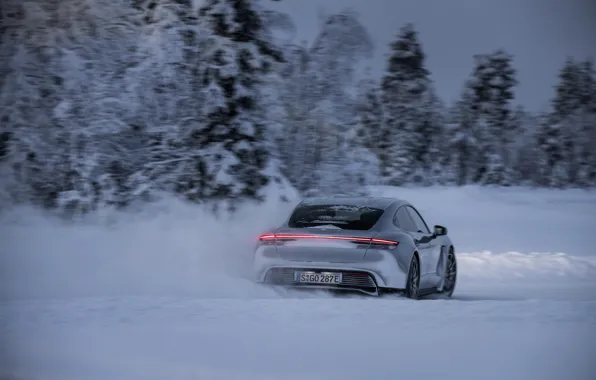 Picture road, snow, trees, grey, Porsche, back, 2020, Taycan