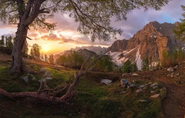 Trees, mountains, stones, valley, snag, Slovenia, Slovenia, The Julian Alps