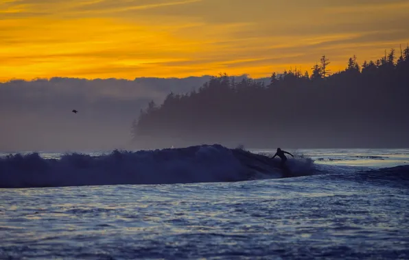 Picture sunset, surfer, sombrio beach