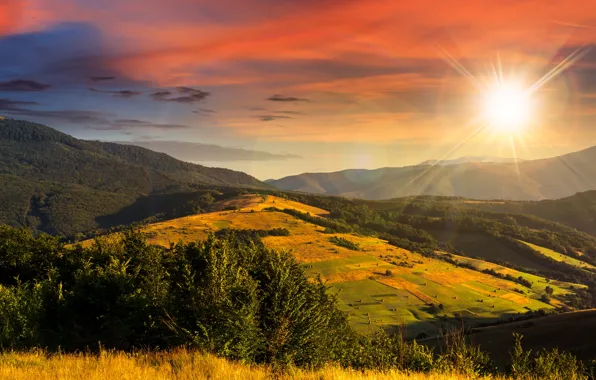 Autumn, the sky, grass, the sun, rays, trees, mountains, field