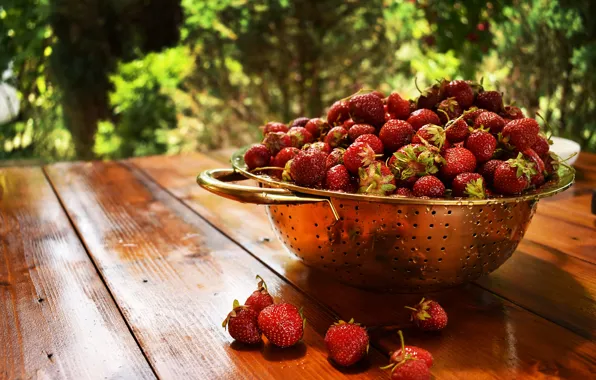 Drops, nature, berries, table, rain, moisture, garden, harvest
