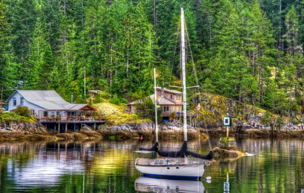 Picture forest, trees, lake, stones, shore, treatment, yacht, houses
