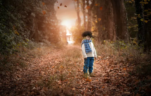 Road, autumn, boy