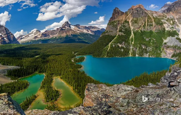 Trees, mountains, nature, Canada, British Columbia, lake O'hara, Yoho national Park