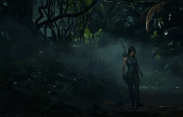 Picture fog, bow, dirt, jungle, Lara Croft, lara croft, fern, jungle