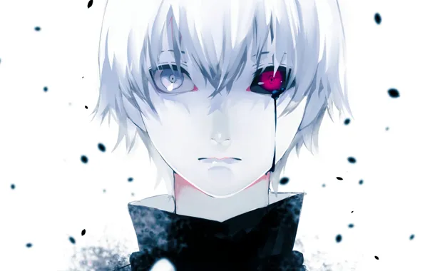 Art, white hair, red eye, Ken Kanek, Tokyo ghoul, The Kaneko Ken, Tokyo ghoul