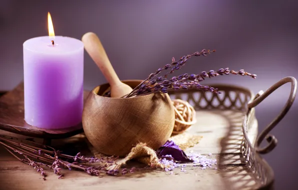 Candle, Sprig, lavender, the color purple, blade, pot