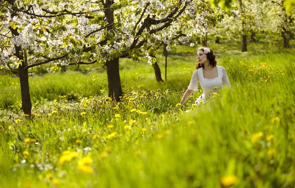Summer, girl, garden