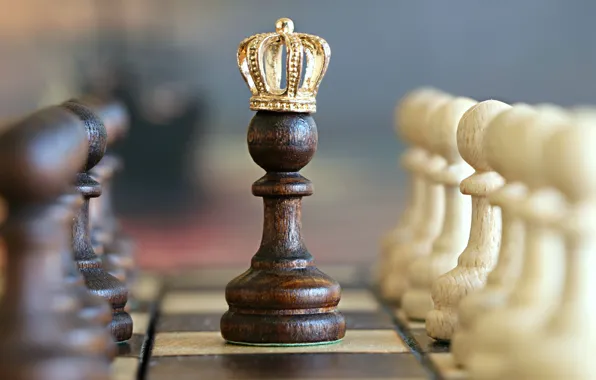 White, black, crown, situation, king, Chess, imagination, miscellanea